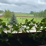 Muskatli Panzio Es Etterem Újhartyán