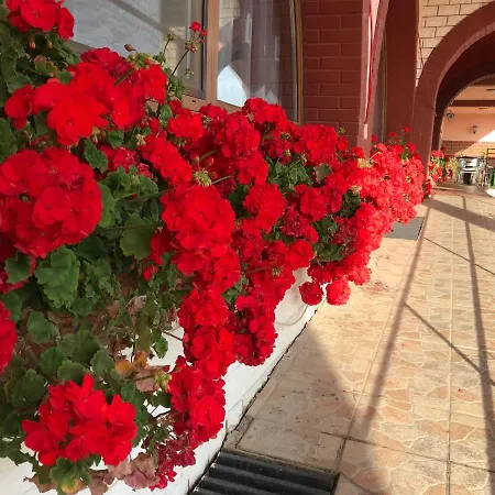 Muskatli Panzio Es Etterem Motel Újhartyán