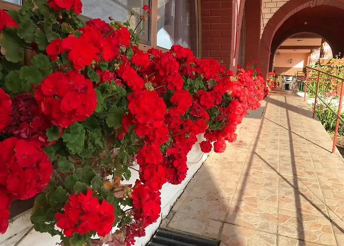 Muskatli Panzio Es Etterem Motel Újhartyán