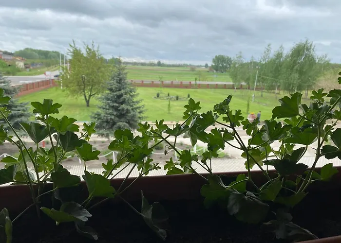 Muskatli Panzio Es Etterem Újhartyán